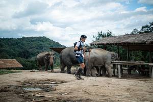 BIB: 
                            <button type="button" onclick="openModal(22423439)" class="btn btn-primary btn-sm float-right btn-popup" data-toggle="modal" data-target=".modal-high-quality">
                        <i class="fas fa-shopping-cart"></i> Add to Cart
                    </button>
                                            <button type="button" onclick="isThisMe(22423439, true)" class="btn btn-success btn-sm float-right btn-popup btn-isme hidden" data-toggle="tooltip" data-placement="bottom" title="นี่คือรูปของคุณใช่ไหม คลิกที่นี่เพื่อเอาเข้าอัลบั้ม">
                        <i class="fas fa-plus"></i> Add to album
                    </button>
                    <button type="button" onclick="isThisMe(22423439, false)" class="btn btn-warning btn-sm float-right btn-popup btn-isnotme hidden">
                        <i class="fas fa-ban"></i> Remove from album
                    </button>